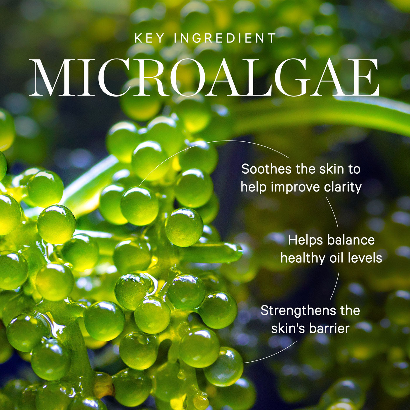 Active Algae Calming Cleansing Balm - KORA Organics